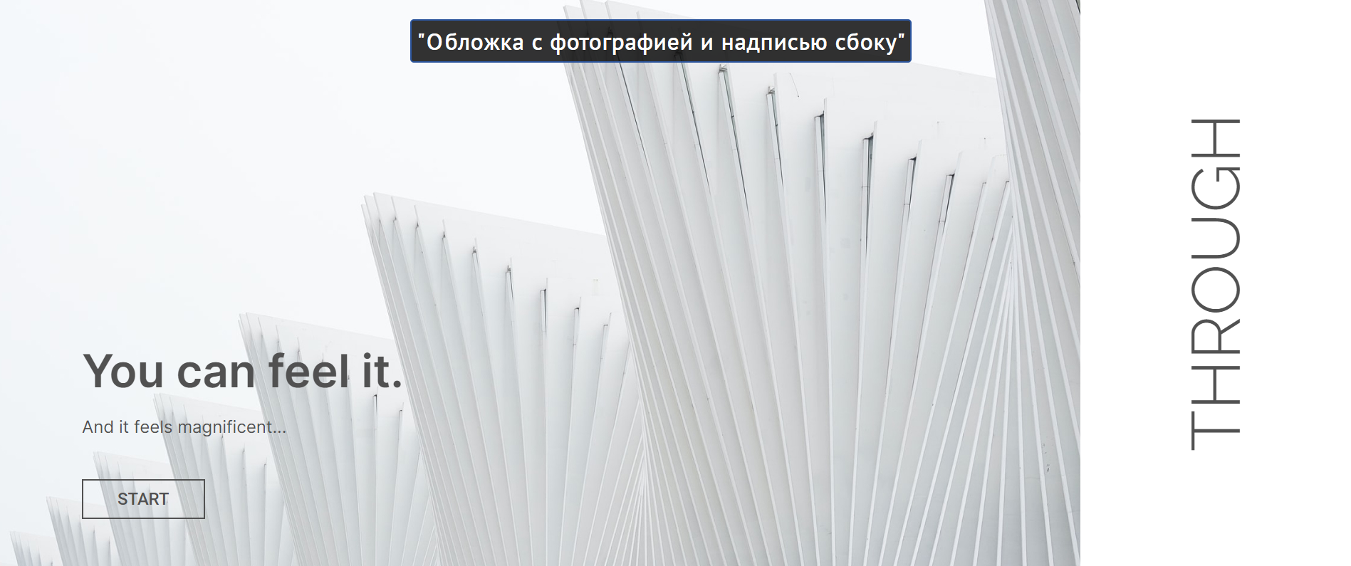 Обложка с фотографией и надписью сбоку